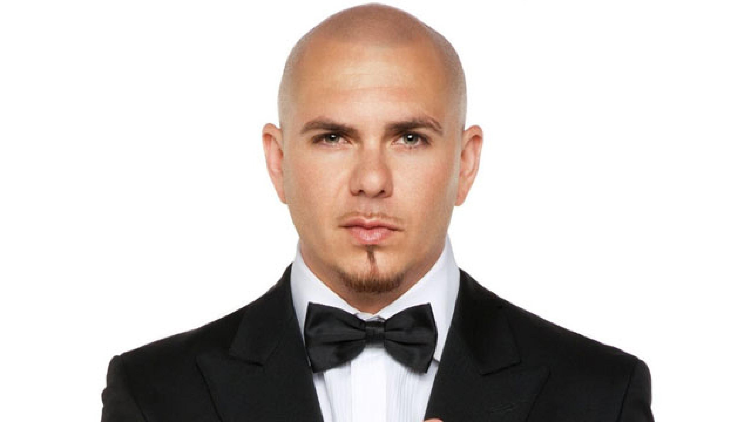 Pitbull Net Worth